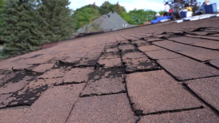 Best Metal Roofing Installation  in Monarch Mill, SC
